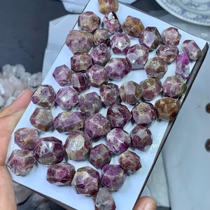 May include: A selection of raw garnet gemstones, displaying a range of deep red and brown hues. The faceted stones are presented on a white tray, highlighting their natural, irregular forms and crystalline structures. The gemstones vary in size and colour.