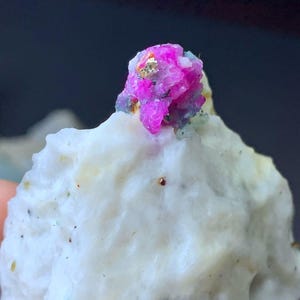 Op de afbeelding: Een klein, roze robijnkristal met gouden vlekken op een witte rots. De robijn wordt omringd door kleinere, grijze kristallen.