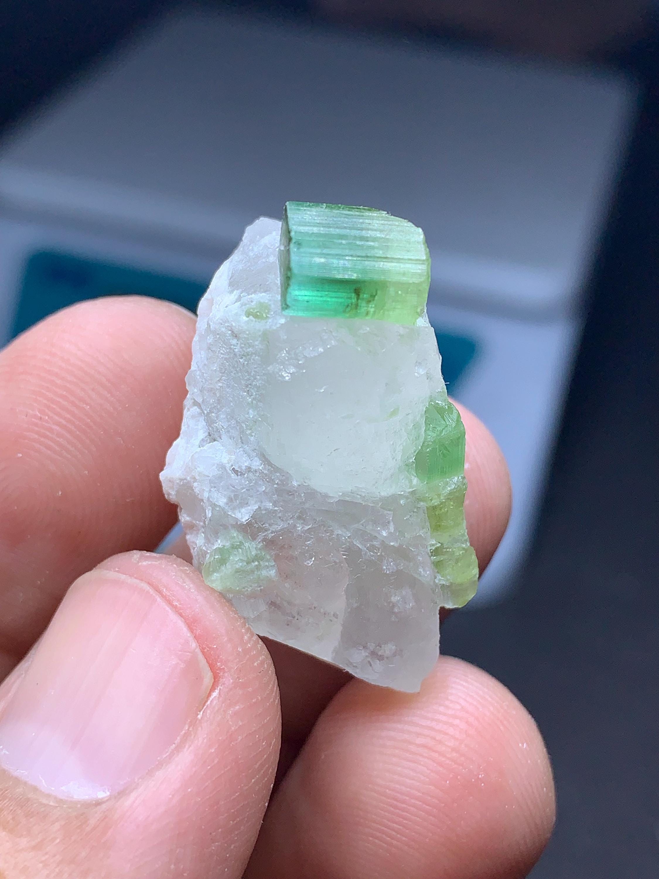 Blue tourmaline crystal on quartz, blue tourmaline cluster, Natural stone, Crystals wholesale, March birthstone, crystal of protection