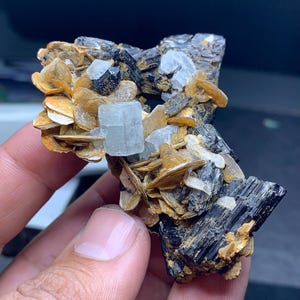May include: A cluster of raw mineral specimens featuring a light blue crystal, black tourmaline, and golden-brown mica. The mineral formation is held in a hand, showcasing the natural textures and colors of the geological sample.