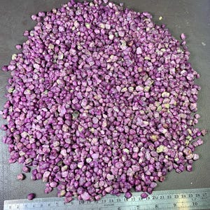 Peut inclure: Un grand tas de petites pierres précieuses rose-violettes brutes. Les pierres sont de tailles et de formes variées, avec quelques pièces de couleur plus claire. Une règle métallique avec des mesures en centimètres est en bas.