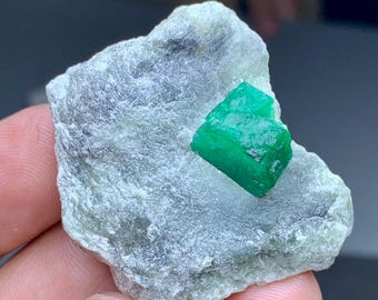 May include: A vibrant green emerald crystal is set against a gray-green rock matrix. The emerald is a bright, saturated green, with a crystalline structure. The rock has a rough, textured surface. The image is a close-up, highlighting the details of the gemstone.