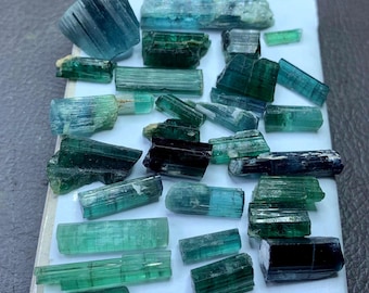 May include: A collection of raw, uncut tourmaline crystals in shades of teal, turquoise, and deep green. The crystals vary in size and shape, with visible natural textures and facets. The gemstones are displayed on a white surface.