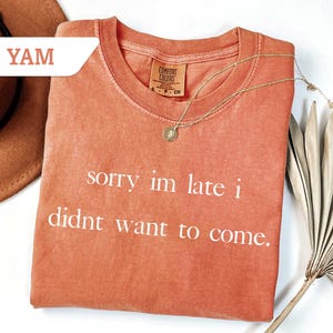 Comfort Colors® Sorry Im Late Tshirt, Sarcasm Shirt For Women, Humor Shirts, Sarcastic Saying Tee Shirt, Sorry Im Late I Didn&#39;t Want To