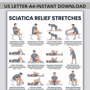 May include: A digital instructional chart titled SCIATICA RELIEF STRETCHES featuring twelve illustrations of a person in a grey t-shirt and shorts performing various physical exercises. Each exercise includes a title and text instructions.