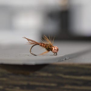 May include: A brown and copper colored fly fishing lure with a feathered tail and a copper bead head.