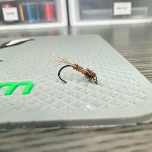 May include: A brown and black fly fishing lure with a brown feather tail and a black hook.