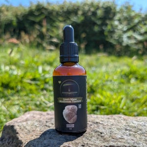 Tintura de hongo melena de león