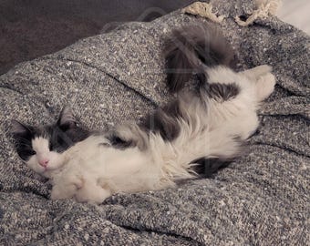 Draw me like one of your French Girls