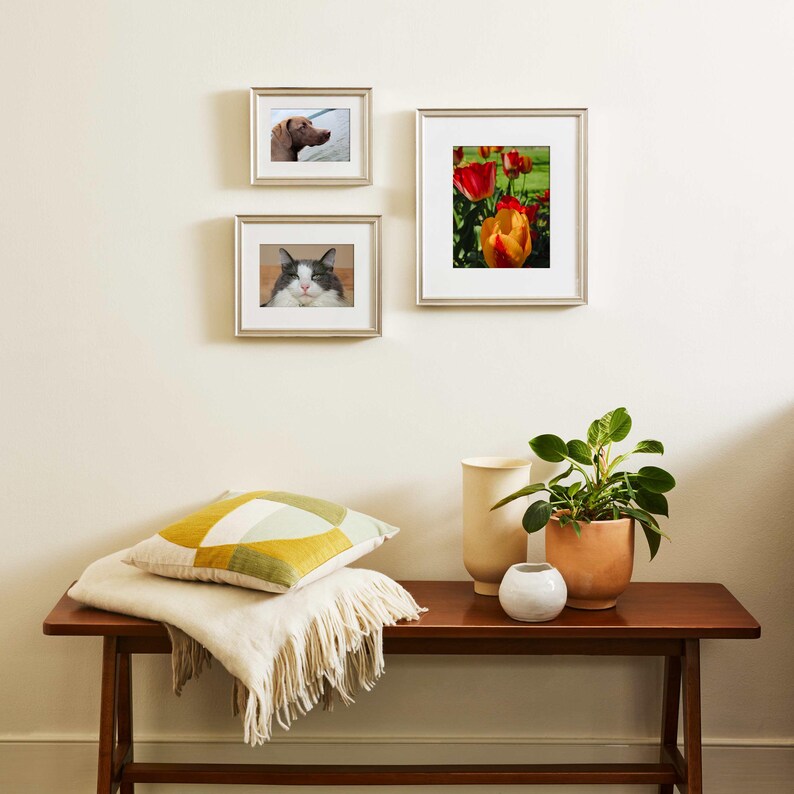 May include: A wooden bench with a white blanket and a yellow and green patterned cushion. There are three framed pictures on the wall behind the bench, one with a cat, one with a dog, and one with flowers.