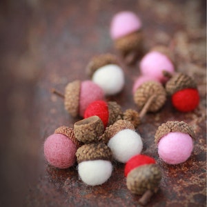 Set of 12 SHADES OF LOVE  Wool Felted Acorns| boho, cottage chic, woodland, rustic