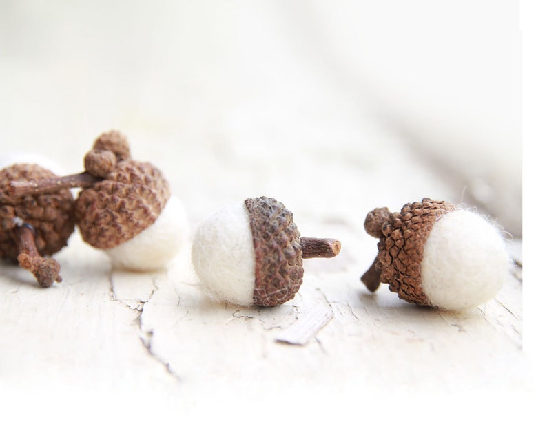 Set of 24 SNOW WHITE Wool Felted Acorns As seen in Southern Living magazine image 1