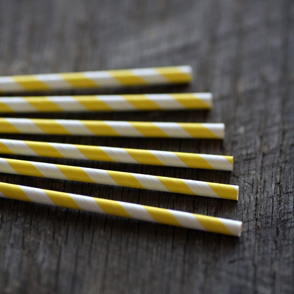 Lemonade Yellow- Paper Straws- Set of 12