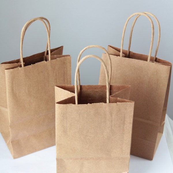 20- Recycled Kraft Handle Bags 8x 5 1/4 x 3 1/2 inches or (20.32 x 13.34 x 8.89cm)