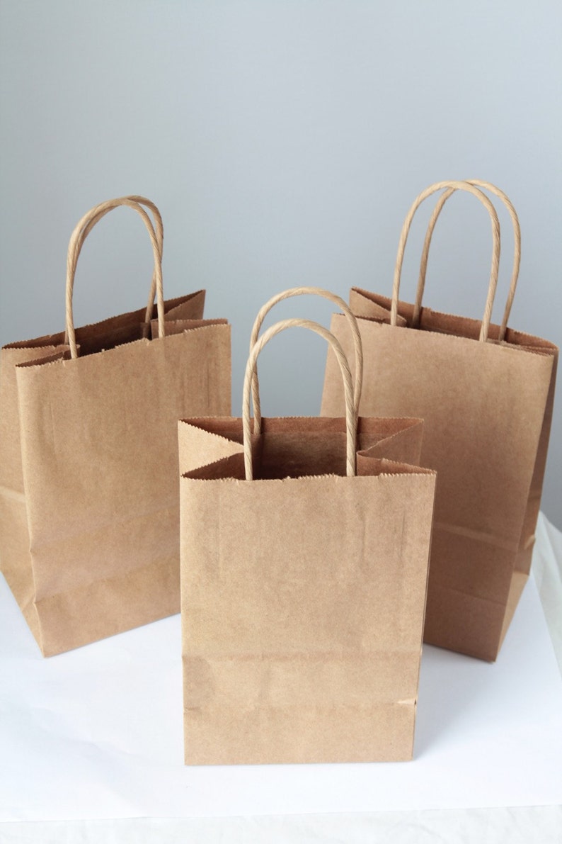 20 Recycled Kraft Handle Bags 8x 5 1/4 x 3 1/2 inches or 20.32 x 13.34 x 8.89cm image 1