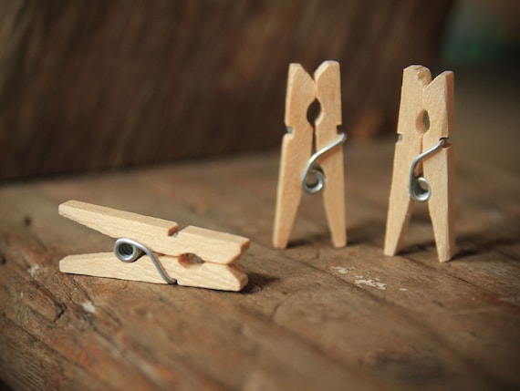 12 Mini Clothespins Natural Wood Rustic Wedding Decorations