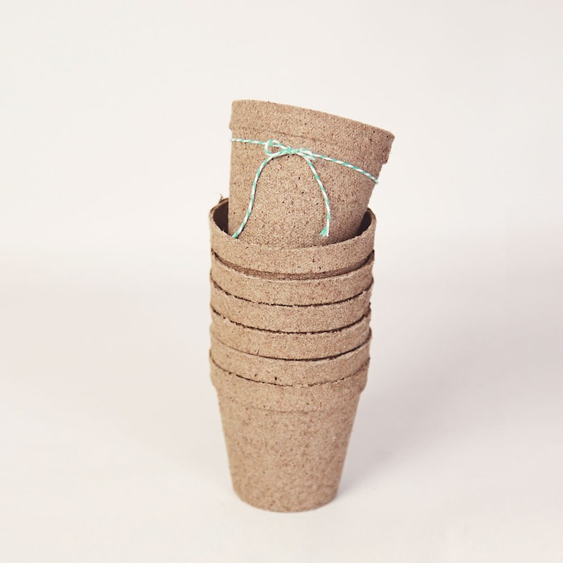Biodegradable Pulp Containers Succulent Favor pots 10 set Peat Pots Organic Pots paper pulp round