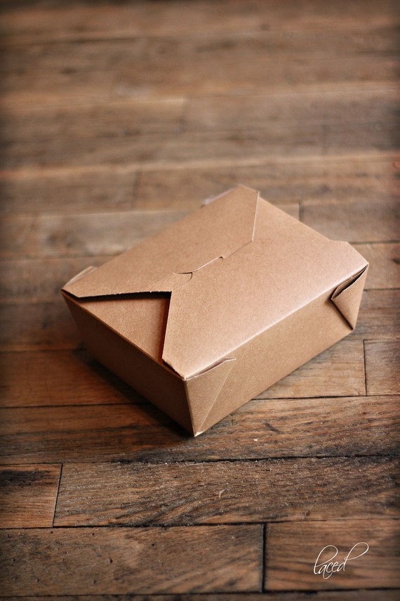 Set of 12 Earth Boxes, Recycled Paper Food Packaging