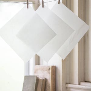 May include: Three white sheets of paper hanging on a clothesline with wooden pegs. The sheets are hanging in front of a window with books on the windowsill.