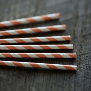 Sweet Peach- Paper Straws- Set of 12