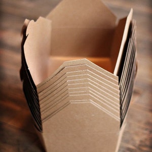 Set of 12 Large Bio-plus Earth Boxes, Microwavable Take Out Boxes ...