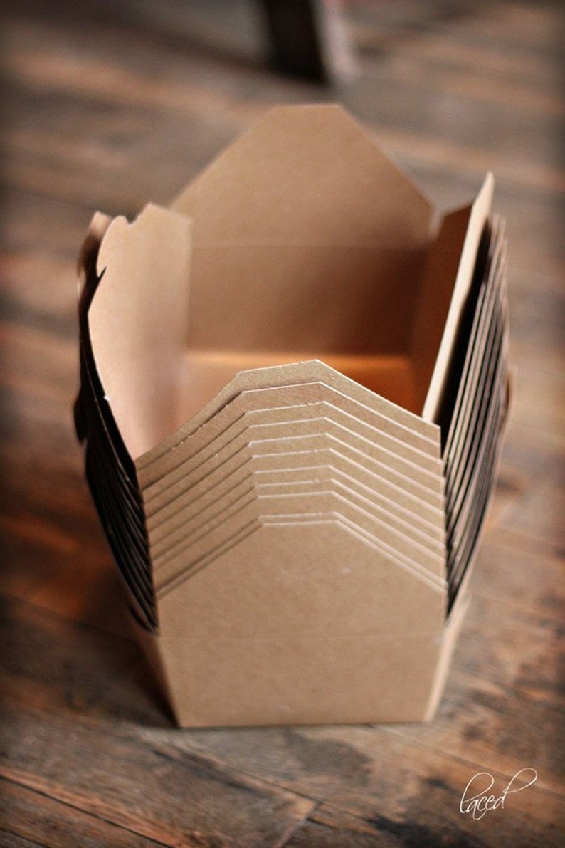 Set of 12 Large Bio-plus Earth Boxes, Microwavable Take Out Boxes ...