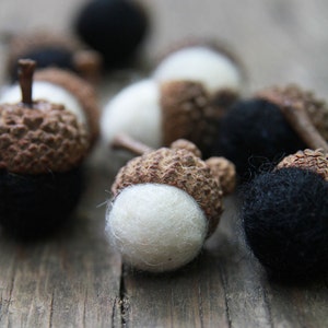 Set of 24 Noir et Blanc Merino Wool Felted Acorns boho, cottage chic, woodland, rustic image 2