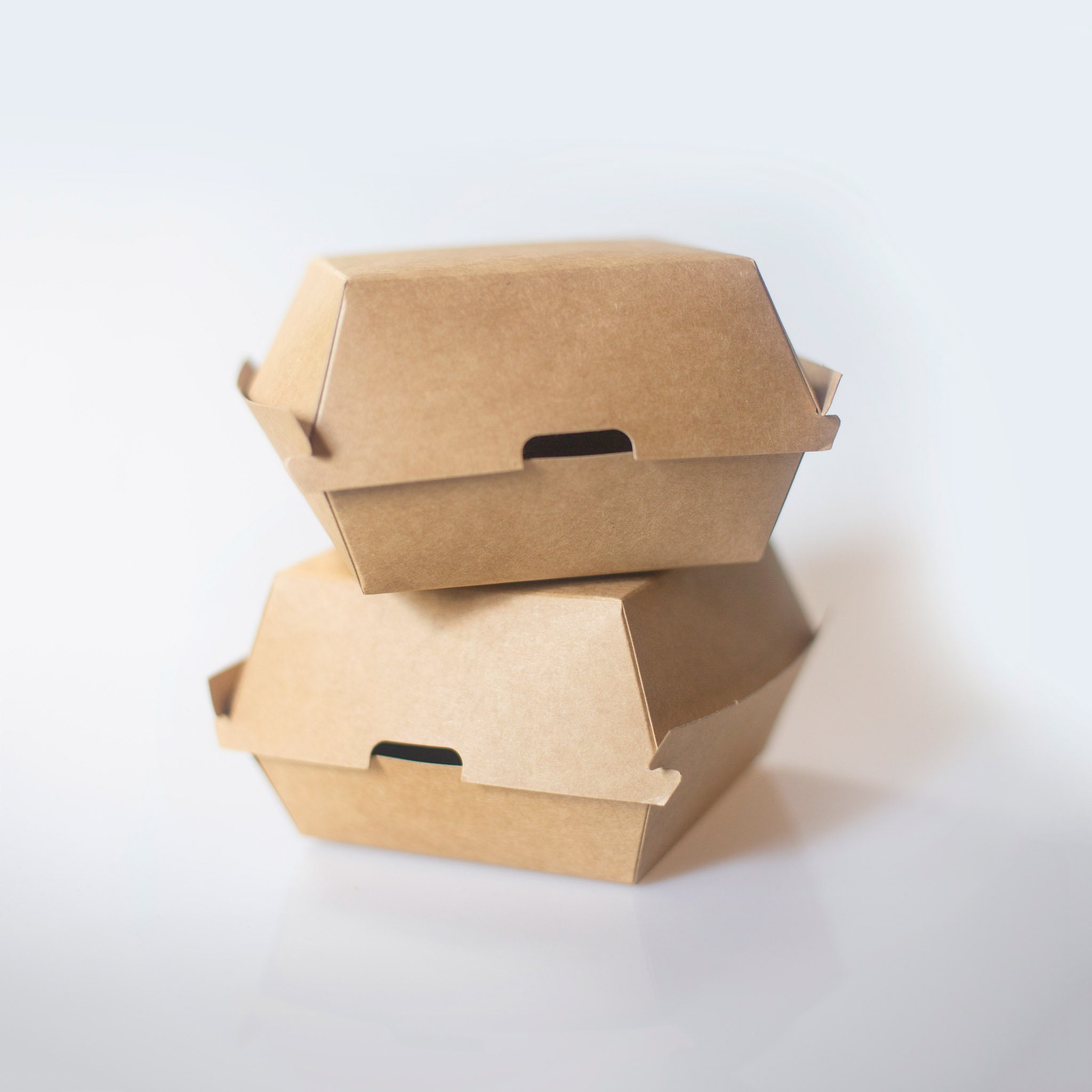 Natural Kraft To Go Boxes with Wire Handle, 12 boxes-TGB-NT