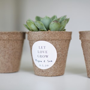 3 brown pulp growing containers. The middle container shows a succulent as demonstration and it has a personalized sticker example, saying LET LOVE GROW, The bride and groom's name and wedding date.