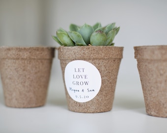 Biodegradable Pulp Containers - Succulent Favor pots - Set of 60   - { succulents not included } Peat Pots, Seed Starter Pots
