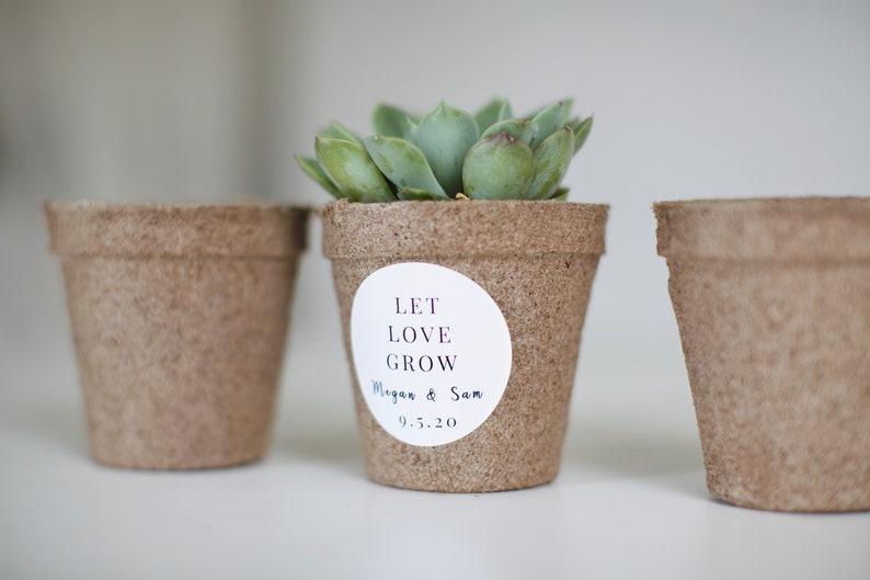 3 brown pulp growing containers. The middle container shows a succulent as demonstration and it has a personalized sticker example, saying LET LOVE GROW, The bride and groom's name and wedding date.