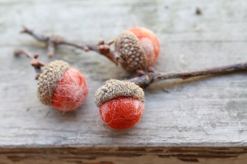 Set of 12 PUMPKIN PIE Wool Felted Acorns boho, cottage chic, woodland, rustic image 2