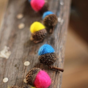 CANDY COLORED Wool Felted Acorns set of 12 boho, cottage chic, woodland, rustic image 1