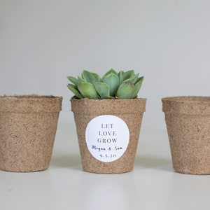 May include: Three small brown biodegradable pots, two empty and one with a green succulent plant. The pot with the plant has a white sticker that says "Let Love Grow" with the names "Morgan & Sam" and the date "9.5.20".
