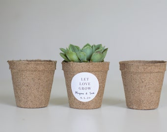 Biodegradable Pulp Containers - Succulent Favor pots - Set of 25  - { succulents not included }