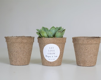 Biodegradable Pulp Containers - Succulent Favor pots - Set of 25  - { succulents not included }