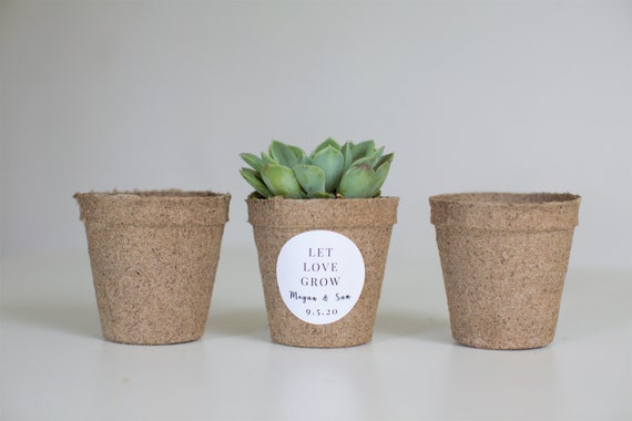 Biodegradable Pulp Containers Succulent Favor pots 10 set Peat Pots Organic Pots paper pulp round