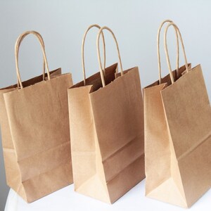20 Recycled Kraft Handle Bags 8x 5 1/4 x 3 1/2 inches or 20.32 x 13.34 x 8.89cm image 3