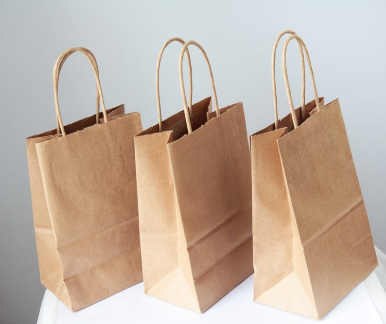 20 Recycled Kraft Handle Bags 8x 5 1/4 x 3 1/2 inches or 20.32 x 13.34 x 8.89cm image 3