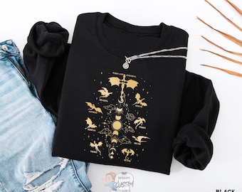 Dragon Rider Sweatshirt, Fourth Wing Dragon Hoodie, Onyx Storm Inspired Sweater, Aretia Shirt, Fantasy Dragon Sweater, Gift for Book Lover