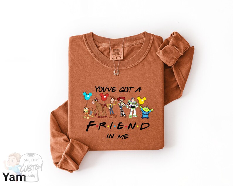 A brown t-shirt with a graphic design featuring various cartoon characters and the text "You've Got a FRIEND in me" printed on it.
