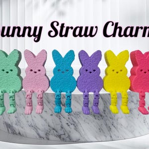 May include: Six colorful bunny-shaped straw charms. The charms are made of a soft, fuzzy material and have small legs. The colors are green, pink, blue, purple, yellow, and pink.