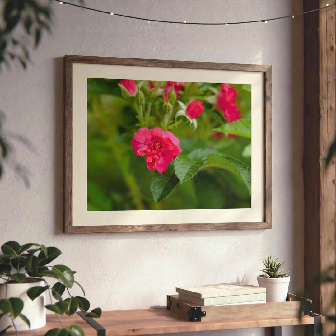 Bright Pink Rose Fine Art Photography Print - Etsy