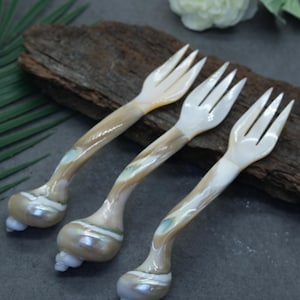 Può includere: Tre piccole forchette realizzate in madreperla iridescente. Ogni forchetta presenta una testa a tre rebbi e un manico che termina in una base a conchiglia arrotondata e bulbosa, con motivi naturali vorticosi color crema, marrone chiaro e bianco perlato.