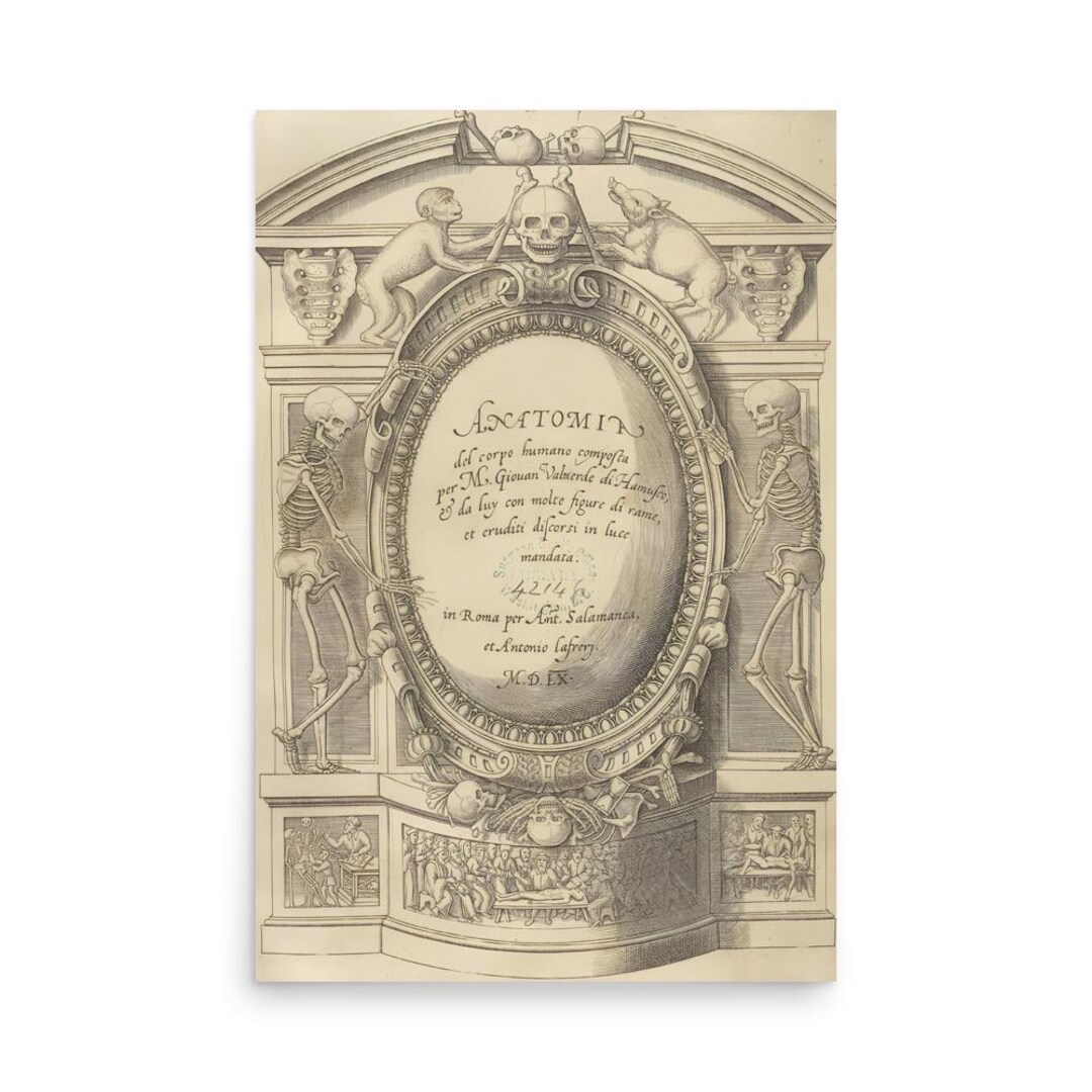 Antique Human Anatomy Print – Vintage Medical Illustration, Detailed ...