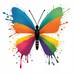 Rainbow Better Fly Frame - Etsy