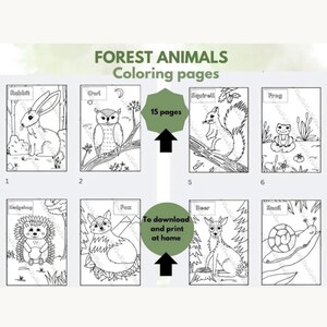 May include: A set of 15 forest animals coloring pages featuring black and white line art of a rabbit, owl, squirrel, frog, hedgehog, fox, deer, and snail. The text reads FOREST ANIMALS Coloring pages, 15 pages, and To download and print at home.