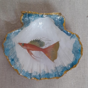 scallop shell - decorative tray, goldfish, jewelry dish, original gift, decorative dish tray