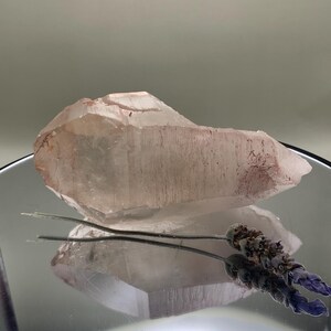 Può includere: Un cristallo di quarzo trasparente con inclusioni rossastre e una punta. Il cristallo è appoggiato su una superficie riflettente, con un rametto di lavanda secca nelle vicinanze. La superficie del cristallo ha una consistenza naturale e ruvida.