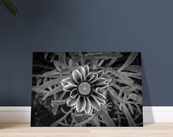 Monochrome Floral Wall Art: Modern Black and White Flower Photo Poster